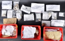 FOSSILS - LARGE COLLECTION OF BIVALVE FOSSILS