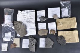 FOSSILS - COLLECTION OF FOSSILISED PLANTS & TREES