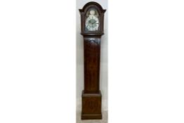 EARLY 20TH CENTURY MAHOGANY TEMPUS FUGIT GRANDFATHER CLOCK