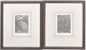 TWO VINTAGE FRAMED LIMITED SIGNED ETCHINGS