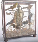 TAXIDERMY & NATURAL HISTORY - VICTORIAN CASED BIRDS