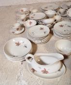 VINTAGE ROYAL DOULTON TUMBLING LEAVES DINNER & TEA SERVICE