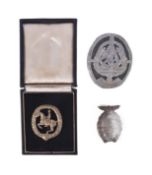 COLLECTION OF ASSORTED SECOND WORLD WAR GERMAN SA BADGES