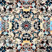 Damien Hirst (British, b.1965) 'In A Gadda Da Vida', 2004, Gravure on paper. Measures 52 by 52cm.