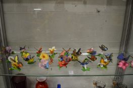 A good collection of porcelain models of butterflies.