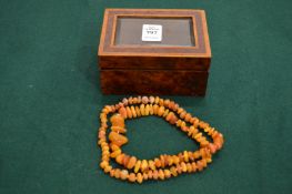 A naturalistic amber bead necklace housed a glass topped burr wood box.