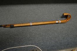 Three walking sticks.