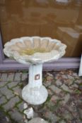 A shell shaped birdbath.