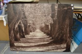 A group of photographic canvas prints.