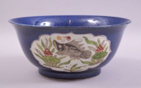 A CHINESE BLUE GLAZED PORCELAIN BOWL, decorated with panels of fish in the wucai palette amongst