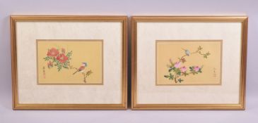 A GOOD PAIR OF JAPANESE PAINTINGS ON SILK, each depicting a bird on a branch, framed and glazed with