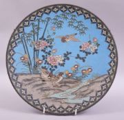 A JAPANESE CLOISONNE CIRCULAR DISH, decorated with birds and native flora, 30cm diameter.