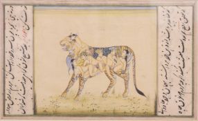 AN UNUSUAL INDIAN MINIATURE EROTIC PAINTING, the naked figures formed to resemble a tiger, framed