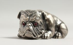 A RUSSIAN SILVER DOG with blue eyes Faberge mark, Head 84 I.P. 2.5ins long.