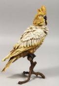 A VIENNA PAINTED BRONZE PARROT on a branch, 12ins high.