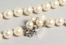A SUPERB PEARL AND DIAMOND NECKLACE.