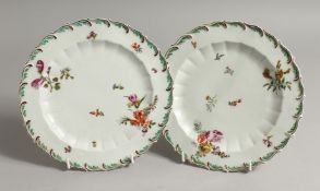 A PAIR OF 18TH CENTURY CHELSEA FEATHERED PLATES painted with flowers, brick and red anchor mark.