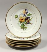 A SET OF SIX BOTANICAL PLATES, the reverse with cypher of FERDINAND KING OF NAPLES.