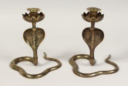 A PAIR OF INDIAN BRASS COBRA CANDLESTICKS. 8ins high.