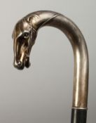 A GOOD 19TH CENTURY WALKING STICK with a silver .925 horse's head handle. 36ins long.