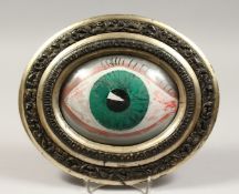 A FRAMED CONVEX EYE PICTURE. 7ins x 5ins.