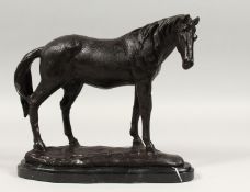 A BRONZE STANDING HORSE on a marble base.