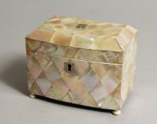 A REGENCY MOTHER OF PEARL BOW FRONTED TWO DIVISION TEA CADDY. 8ins long.
