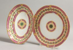RUE THIROUX or FABRIQUE DE LA REINE PORCELAIN DISH AND PLATE, painted with puce husks and trailing