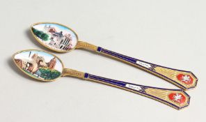 A PAIR OF CONTINENTAL SILVER AND ENAMEL SPOONS 