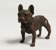 A BRONZE BULLDOG