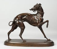 A SUPERB BRONZE GREYHOUND carrying a riding crop in it's mouth, 12ins high, 14ins long.