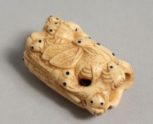 A CARVED BONE INSECT NETSUKE.
