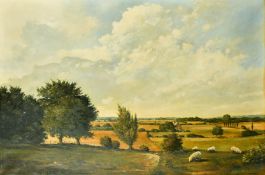 Anthony Wynne (20th Century) British, sheep grazing in an extensive landscape, oil on canvas, 24