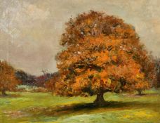 Early 20th Century School, a tree in a landscape, oil on canvas, 14