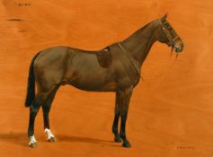 Frances Mabel Hollams (1877-1963) British, 'Bean' a study of a horse, oil on panel, signed and