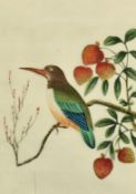 Two Chinese watercolours on rice paper of exotic birds, one 8