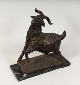 A GOOD BRONZE OF A GOAT on a marble base. 14ins high.