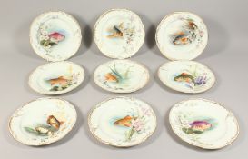A SET OF NINE FISH PLATES painted with flowers and carp. 9ins diameter.