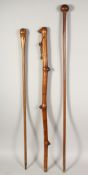 THREE NATIVE WALKING STICKS 34ins, and 38ins long