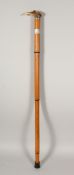 A SCOTTISH BONE BIRD HANDLE CANE. 33ins long.