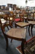 Three Regency cane seated dining chairs.