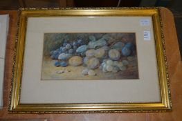 A still life of fruit watercolour.