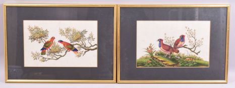 A GOOD PAIR OF CHINESE PITH PAINTINGS, each depicting colourful exotic birds perched on branches