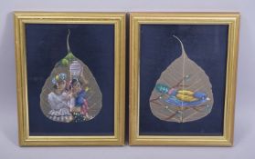 A PAIR OF FRAMED AND GLAZED PAINTINGS ON LEAVES, each 23cm x 18cm overall.