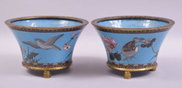 A PAIR OF JAPANESE CLOISONNE BLUE GROUND JARDINIERES, each exterior beautifully decorated with birds