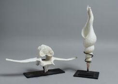 AN ELONGATED SHELL on a stand, 10ins long and a whale vertebrae on a stand, 10ins (2).