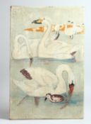 A FOLK ART PAINTING OF SWANS on panel. 23ins x 15ins.