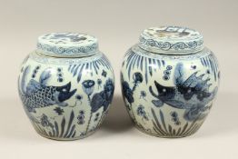 A PAIR OF CHINESE BLUE AND WHITE GINGER JARS AND COVERS. 10ins high.