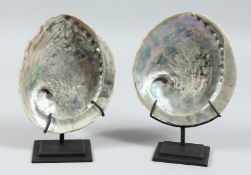 A PAIR OF ABALONE SHELLS on a stand. 6ins x 5ins.