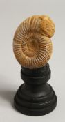 AN AMMONITE SPECIMEN. 3ins on a wooden stand.